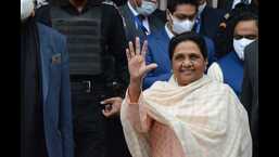 BSP chief Mayawati (HT file)