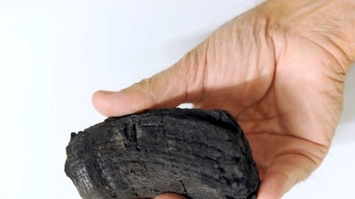 Fossils of 3 giant sea reptiles - weighed up to 80 tons - found in Swiss Alps (AFP) Fossils of 3 giant sea reptiles - weighed up to 80 tons - found in Swiss Alps (AFP)