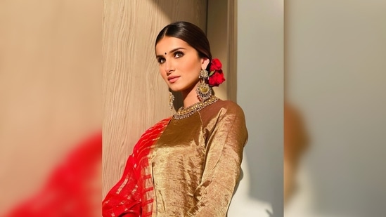 Deck yourself up like Tara Sutaria and go for colours like red and golden for the elegant royal look. Tie a low neat bun and accessorise your outfit with statement jewellery.(Instagram/@tarasutaria)