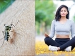 5 Yoga exercise tips to speed up your recovery from malaria&nbsp;