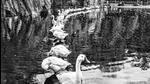 A shot of India, taken by Emmanuel Lenain, seen in the new book A shot of India, taken by Emmanuel Lenain, seen in the new book