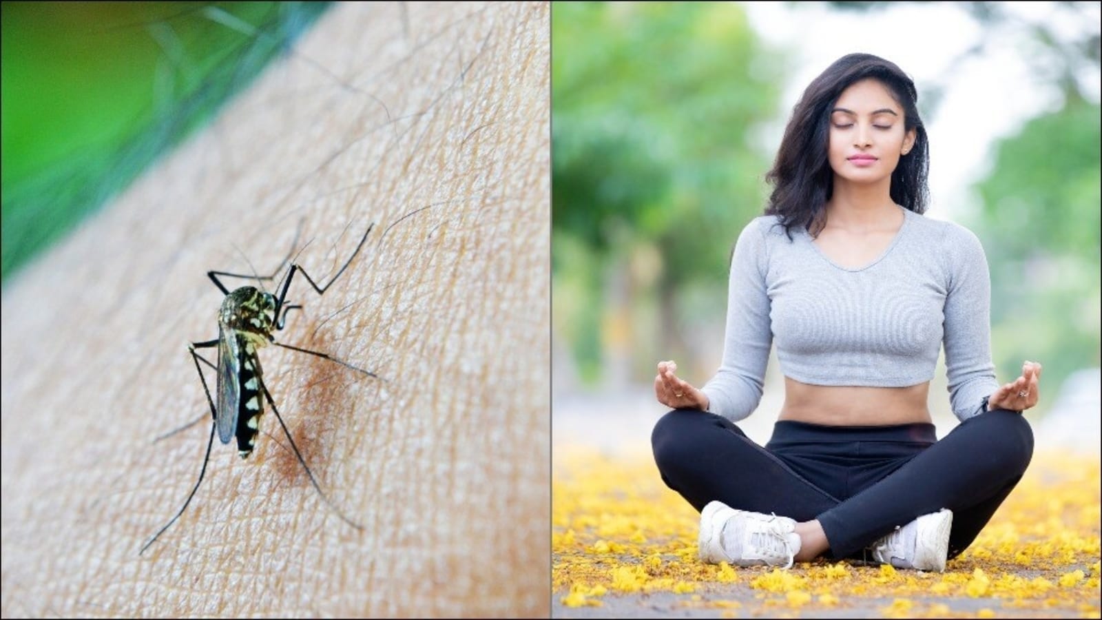 5 Yoga exercise tips to speed up your recovery from malaria | Health