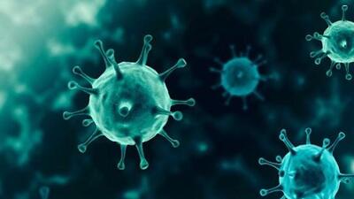 While fewer patients recovered from the infection on Friday, 10 more people tested positive in Chandigarh and four in Mohali. (AFP)