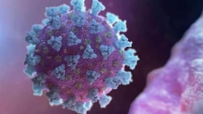 The consortium, however, stated that it is monitoring the mutations in the virus through 52 laboratories in its network. (Representational image) (HT_PRINT) The consortium, however, stated that it is monitoring the mutations in the virus through 52 laboratories in its network. (Representational image) (HT_PRINT)