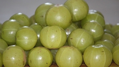 Amla: The ideal fruit for all disorders from obesity, thyroid to diabetes and constipation. Its sour taste helps quicken your fat loss. (Pixabay)