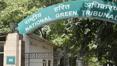 File photo of NGT. File photo of NGT. 