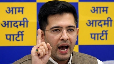 AAP leader and Rajya Sabha member Raghav Chadha (ANI) AAP leader and Rajya Sabha member Raghav Chadha (ANI)