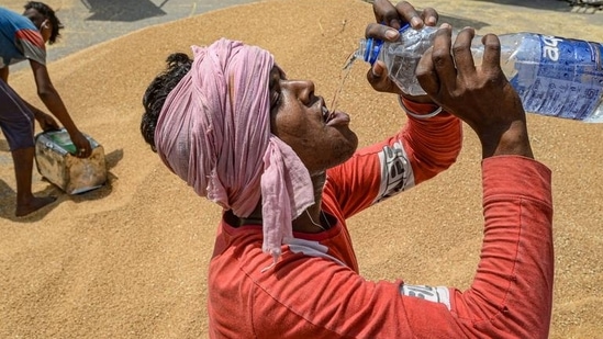 Jalandhar: A worker drinks water while sorting wheat grain on a hot summer day, at the grain market in Jalandhar, (PTI Photo)(HT_PRINT)