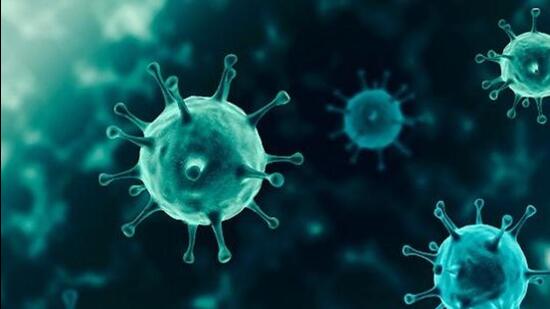 While fewer patients recovered from the infection on Friday, 10 more people tested positive in Chandigarh and four in Mohali. (AFP)