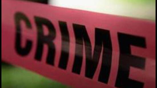 The victim, Manpreet Kaur, was walking home on foot around 9pm when the snatching took place. Her purse contained cash, important documents, credit and debit cards. (Representative Image/HT File)