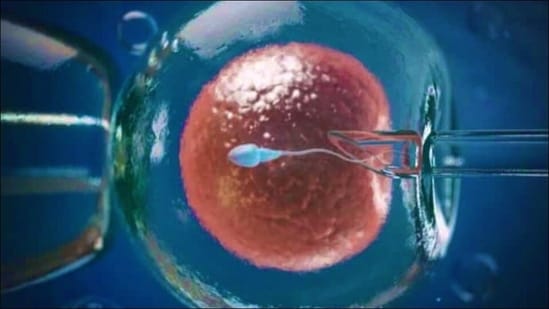 Self-cycle IVF: Fertility expert explains what is donor cycle IVF, who benefits from it&nbsp;(Twitter/Mz_enaj)