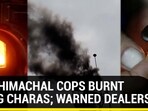 HOW HIMACHAL COPS BURNT 160KG CHARAS; WARNED DEALERS
