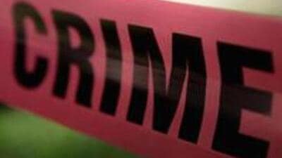 Assistant sub-inspector (ASI) Seeta Ram said a case under Section 381 (theft by servant) of the Indian Penal Code had been lodged against the accused at the Model Town police station. (Representative Image/HT File)