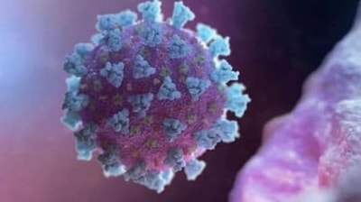 Several researchers have attributed the Covid-19 virus to the zoonotic transmission - passing of a previously unknown virus (Coronavirus in this case) from a wild animal to a human. (HT file photo)