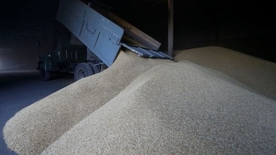 File Photo: A driver unloads a truck at a grain store during barley harvesting in the village of Zhovtneve, Ukraine.&nbsp; (REUTERS)