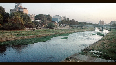 A view of the Mutha river near Lakdi bridge on,Saturday (HT PHOTO) A view of the Mutha river near Lakdi bridge on,Saturday (HT PHOTO)