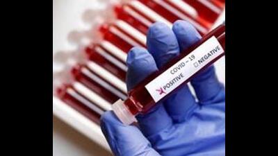 Till now, 1,09,861 Covid cases have been reported from Ludhiana district, out of which 1,07,558 patients have recovered and 2,280 succumbed to the virus. (REUTERS)