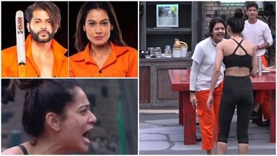 Anjali Arora claimed on Lock Upp that Payal Rohatgi had agreed to fake an affair with Kaaranvir Bohra. Anjali Arora claimed on Lock Upp that Payal Rohatgi had agreed to fake an affair with Kaaranvir Bohra.