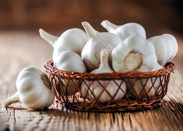 In actual fact, garlic is also a vegetable. Science is clear. Garlic is a vegetable that belongs to the larger onion family In actual fact, garlic is also a vegetable. Science is clear. Garlic is a vegetable that belongs to the larger onion family