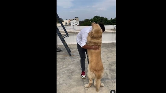 Dojxxx - Dog meets its human after many days. Video is heartwarming to watch |  Trending - Hindustan Times