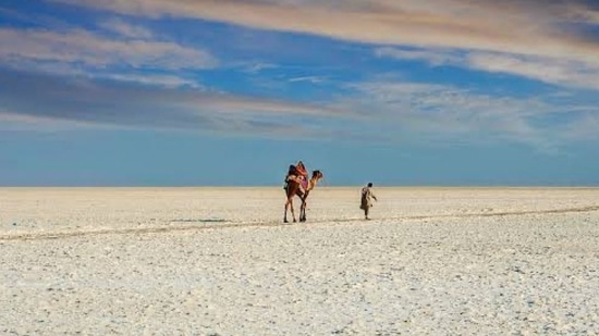 The Rann of Kutch in Gujarat is a beautiful destination to experience rich rural life.(Twitter/Gujarat Information Department)