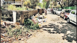 Garbage lying unattended along Bhandarkar road. (Rahul Raut/HT PHOTO)