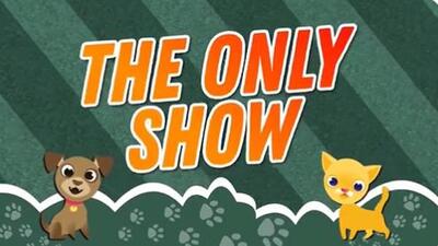 The half-an-hour weekly live phone-in show features stories that explain unique relationships between pets and their owners. (Vide Grab)