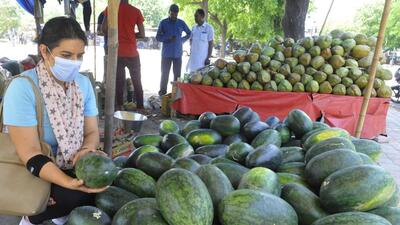 A woman taking her pick from a pile of watermelons in Chandigarh on a hot Monday afternoon. The day temperature is expected to dip following light rain on Tuesday and Wednesday. (Keshav Singh/HT) A woman taking her pick from a pile of watermelons in Chandigarh on a hot Monday afternoon. The day temperature is expected to dip following light rain on Tuesday and Wednesday. (Keshav Singh/HT)