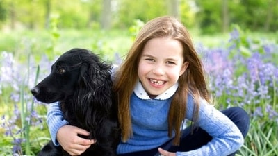 The pictures show Charlotte sitting in a meadow with bluebells, holding the family's black cocker spaniel. (AP) The pictures show Charlotte sitting in a meadow with bluebells, holding the family's black cocker spaniel. (AP)