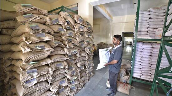 Among paddy’s short-duration varieties, PR 126 needs 15-25 per cent less irrigation than the long-duration variety, Pusa 44. (Gurpreet Singh/HT) Among paddy’s short-duration varieties, PR 126 needs 15-25 per cent less irrigation than the long-duration variety, Pusa 44. (Gurpreet Singh/HT)