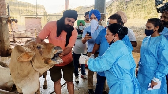 When a pandemic strikes the globe, vets are forced to take ownership of the zoonosis threat. Is it hard to believe then that there is a dangerous mental health crisis sweeping through the veterinary community?&nbsp;(Representative Image)