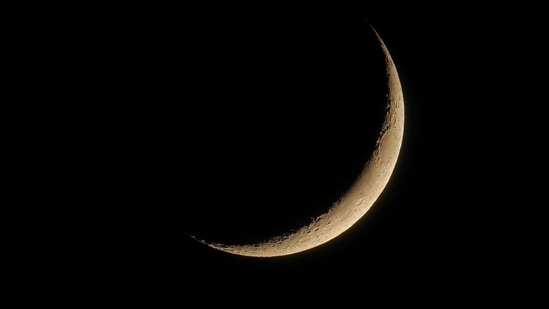 Represnetational Image (Unsplash) Represnetational Image (Unsplash)