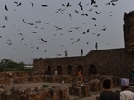 A file photo of Delhi's Feroz Shah Kotla Fort
