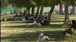 Construction workers and a dog take shelter under the shade of trees on a hot day in New Delhi. Maximum temperature has further fallen by 2°C to 4°C over Rajasthan, Punjab, New Delhi and Haryana, IMD said. (AP) Construction workers and a dog take shelter under the shade of trees on a hot day in New Delhi. Maximum temperature has further fallen by 2°C to 4°C over Rajasthan, Punjab, New Delhi and Haryana, IMD said. (AP)