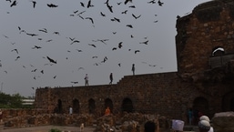 A file photo of Delhi's Feroz Shah Kotla Fort