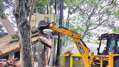 The order is related to the residents taking the Auroville Foundation to court in December contending that a large number of trees were being cut for the Crowd Road in the Auroville forest area affecting its biological diversity and eco-sensitiveness. (HT Photo)