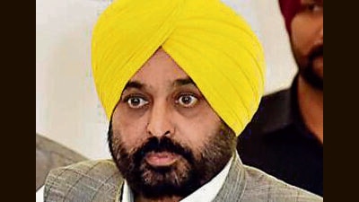 Punjab government will purchase maize, bajra, other crops at MSP: CM Bhagwant Mann (HT FILE) Punjab government will purchase maize, bajra, other crops at MSP: CM Bhagwant Mann (HT FILE)