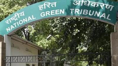 The National Green Tribunal (NGT) has expressed dissatisfaction over the slow progress of waste management at Deepor Beel, a Ramsar wetland near Guwahati in Assam. (HT PHOTO.) The National Green Tribunal (NGT) has expressed dissatisfaction over the slow progress of waste management at Deepor Beel, a Ramsar wetland near Guwahati in Assam. (HT PHOTO.)
