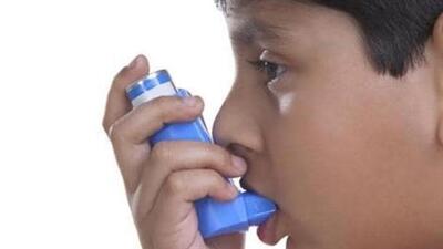 Fortis Mohali doctor Dr Zafar Ahmad Iqbal issued asthma advisory amid wheat harvest season. (HT File) Fortis Mohali doctor Dr Zafar Ahmad Iqbal issued asthma advisory amid wheat harvest season. (HT File)