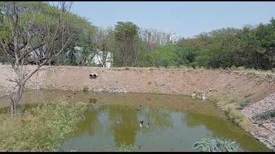 The Savitribai Phule Pune University (SPPU) in a joint effort with the Karve Institute of Social Service has successfully rebuilt the defunct Hatti Haud (pond) for rainwater collection (Tapasya Iyer/HT PHOTO) The Savitribai Phule Pune University (SPPU) in a joint effort with the Karve Institute of Social Service has successfully rebuilt the defunct Hatti Haud (pond) for rainwater collection (Tapasya Iyer/HT PHOTO)