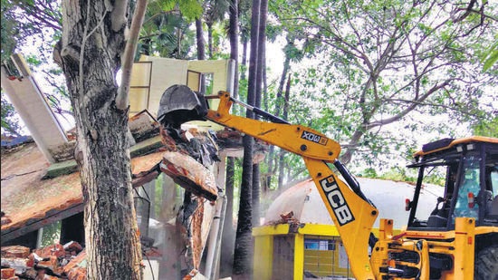 The order is related to the residents taking the Auroville Foundation to court in December contending that a large number of trees were being cut for the Crowd Road in the Auroville forest area affecting its biological diversity and eco-sensitiveness. (HT Photo)