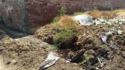 Farmers raised sanitation issues at dairy complexes in Ambala. (HT Photo)