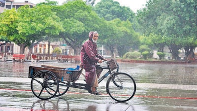 A cart-puller pedalling through the rain at the Sector-17 Plaza in Chandigarh. (Sanjeev Sharma/HT)