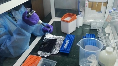 In the last 24 hours, over 4.79 lakh vaccine doses were administered in India, health ministry data says. (Pic for representation)