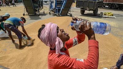 Best practices in managing extreme weather events like the March-April heatwave in India are is likely to be showcased at the conference. (PTI) Best practices in managing extreme weather events like the March-April heatwave in India are is likely to be showcased at the conference. (PTI)