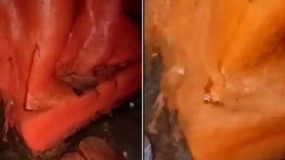 Soon after the video went viral, villagers thronged the spot to offer prayers to the idol. Soon after the video went viral, villagers thronged the spot to offer prayers to the idol.