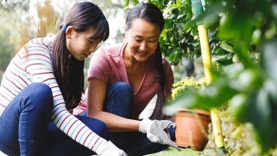 Make additions to your mother's backyard garden,(Unsplash)