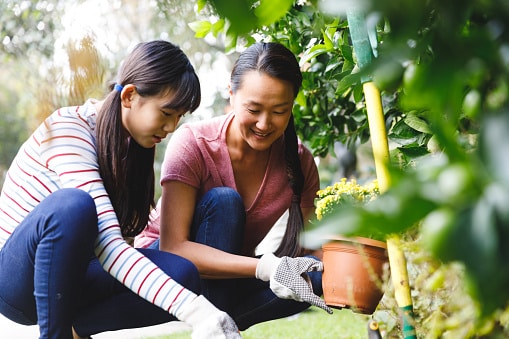 Make additions to your mother's backyard garden, (Unsplash) Make additions to your mother's backyard garden, (Unsplash)