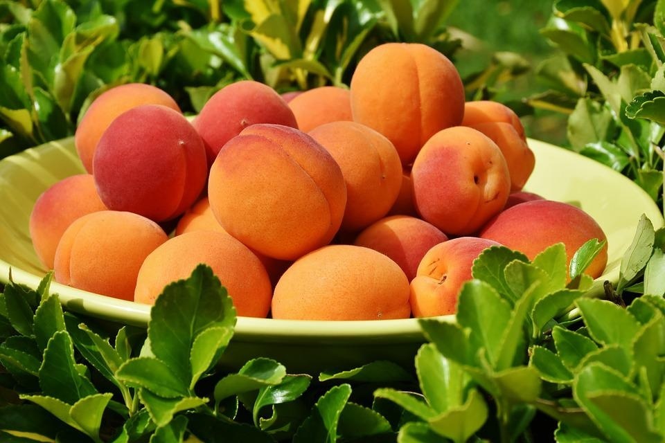 Peach is harvested in April-May in India and has a distinct sweet, juicy and slightly tangy taste (Pixabay)