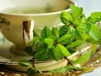 Pudina or mint not only has a cooling effect in the body, but it's also great for the skin(Pixabay) Pudina or mint not only has a cooling effect in the body, but it's also great for the skin(Pixabay)